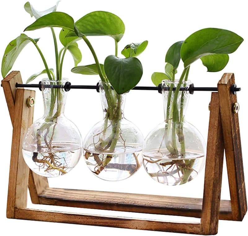 Retro Tabletop Plant Terrarium with Wooden Stand - 3 Bulb Air Planter