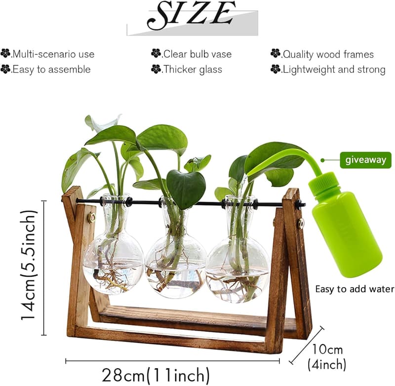 Retro Tabletop Plant Terrarium with Wooden Stand - 3 Bulb Air Planter