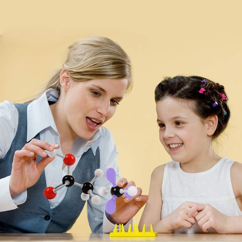 Organic Chemistry Model Kit – 307 PCS Educational Set for Students