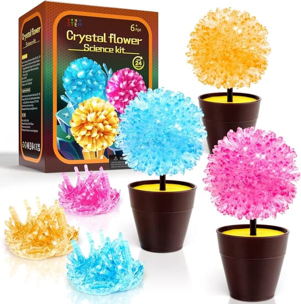 STEM Crystal Growing Kit for Kids, DIY Science Experiment