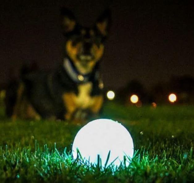 Chuckit! Glow in the Dark Dog Balls - Pack of 2 Medium