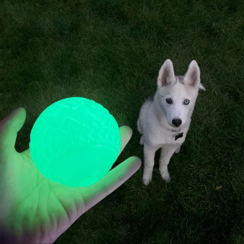 Glow-in-the-Dark Dog Ball Toy - 2 Pack