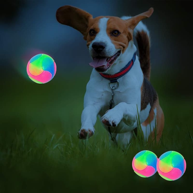 Light Up Dog Balls - 4 pcs Glow in the Dark Interactive Toys