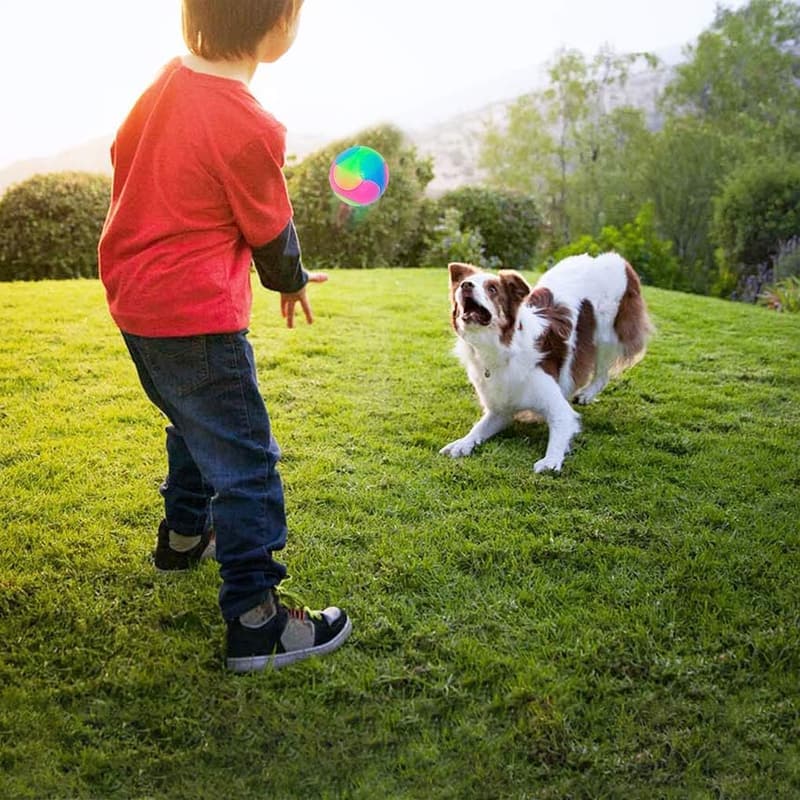 Light Up Dog Balls - 4 pcs Glow in the Dark Interactive Toys