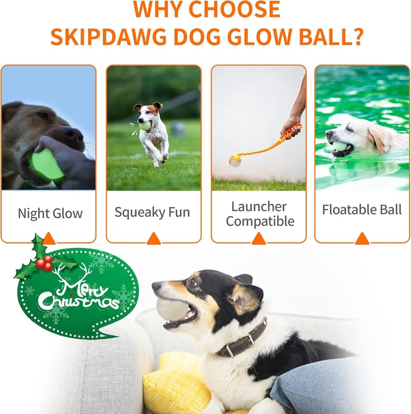 Light-Up Squeaky Dog Ball - Durable, Bouncy, Floating Toy