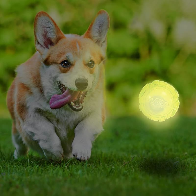 Nerf Dog Tennis Ball Blaster with Glow-in-the-Dark Balls