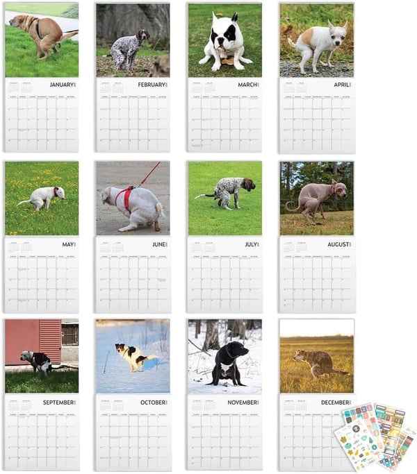 2025 Dog Pooping Calendar - 12x12 Inch Gag Gift