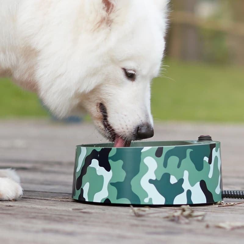 Heated Outdoor Pet Bowl with Chew-Resistant Cord