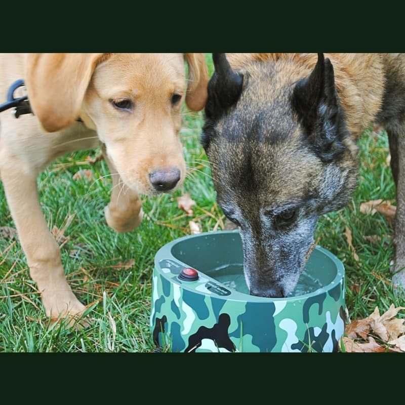 Heated Outdoor Pet Bowl with Chew-Resistant Cord