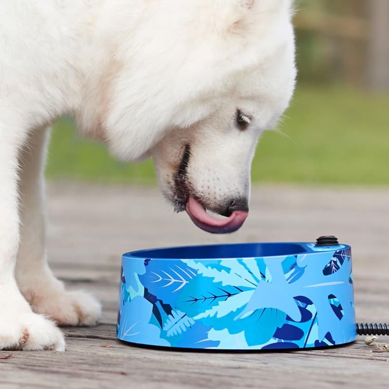 Outdoor Heated Pet Water Bowl with Waterproof Switch