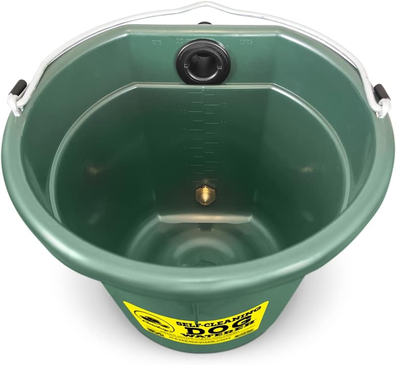 Self-Cleaning Dog Waterer - Green