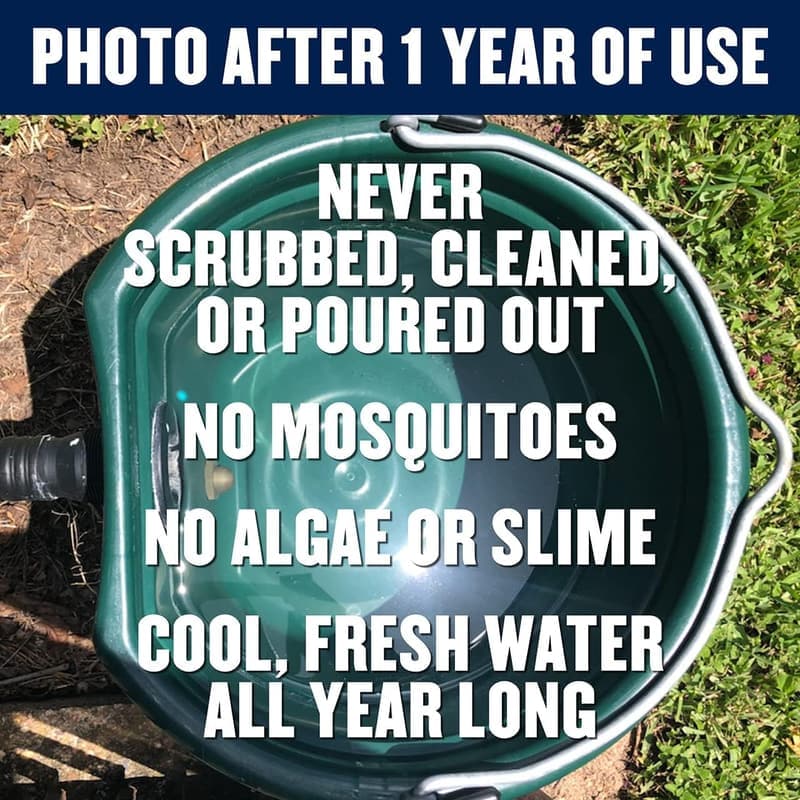 Self-Cleaning Dog Waterer - Green