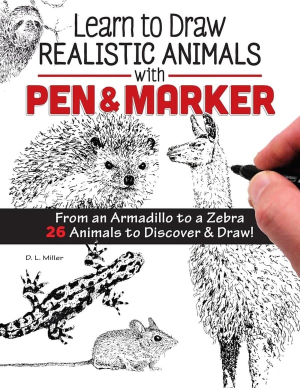 Step-by-Step Visual Guide to Realistic Drawing