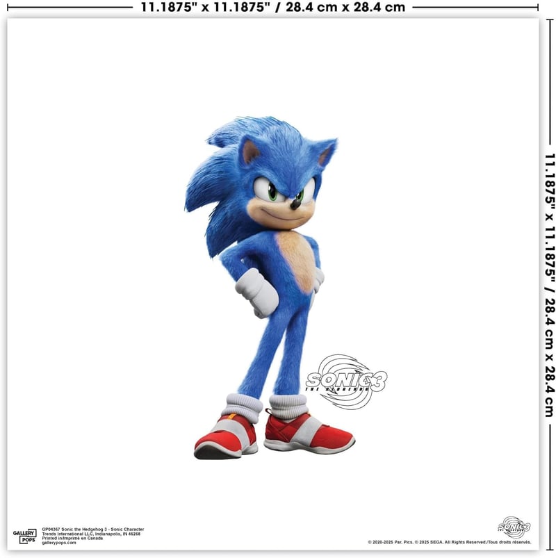 Sonic the Hedgehog Character Wall Art Bundle (4-Pack)