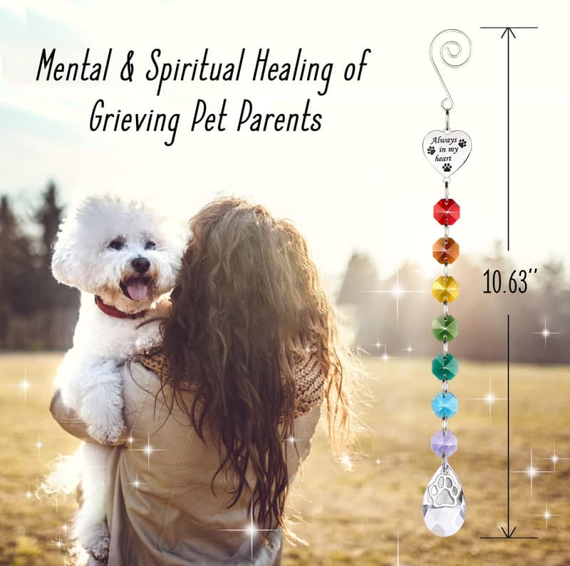 Rainbow Bridge Sympathy Gift Basket for Pet Owners