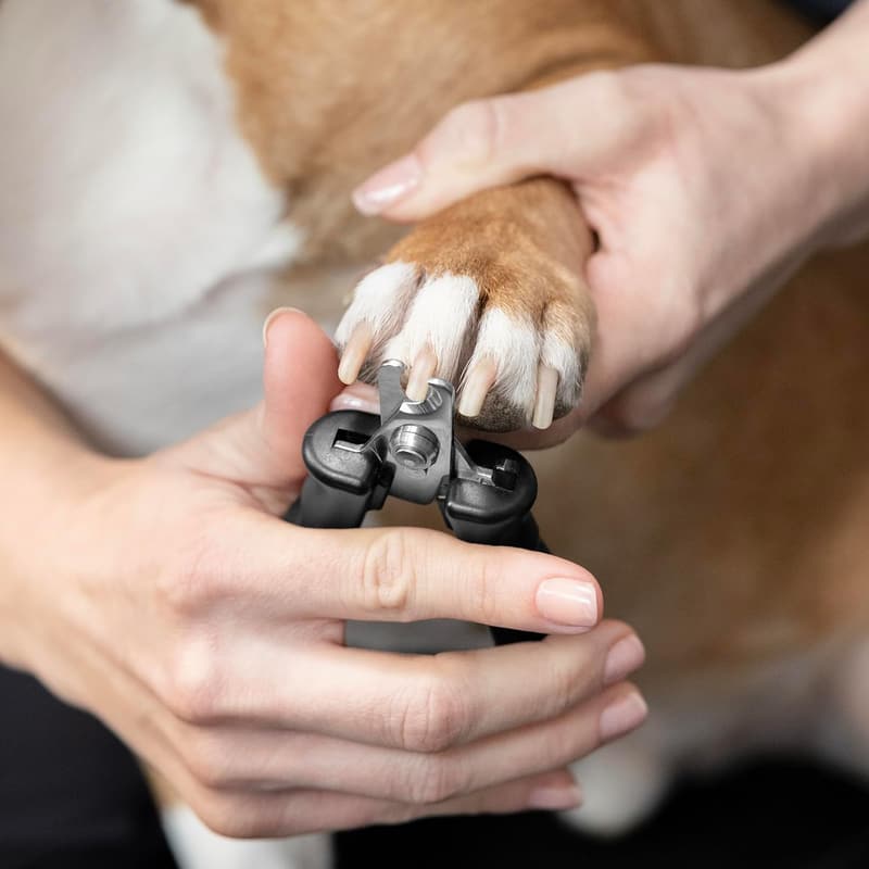 Professional Nail Clippers for Dogs & Cats with Ergonomic Handle