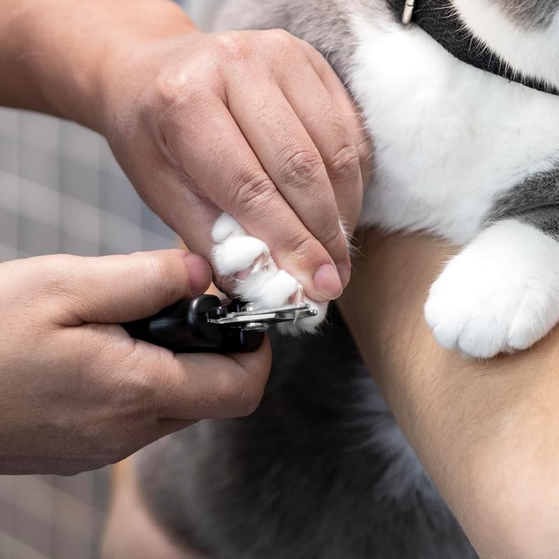 Professional Nail Clippers for Dogs & Cats with Ergonomic Handle