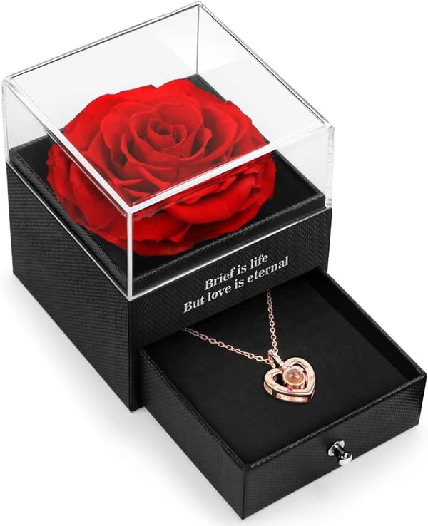 Eternal Preserved Rose with 
