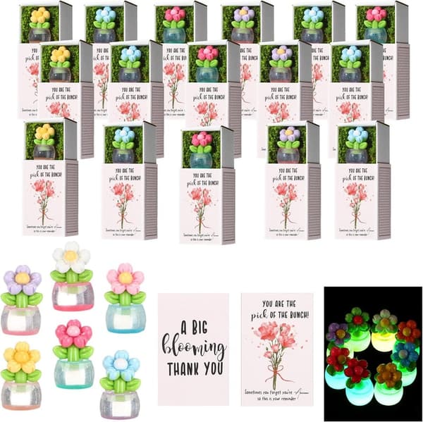 Graduation Appreciation Luminous Flowerpot Gift Set for Employees
