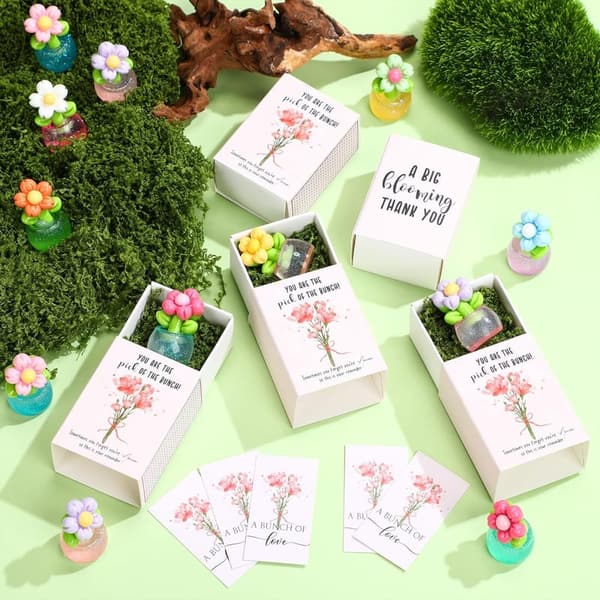 Graduation Appreciation Luminous Flowerpot Gift Set for Employees