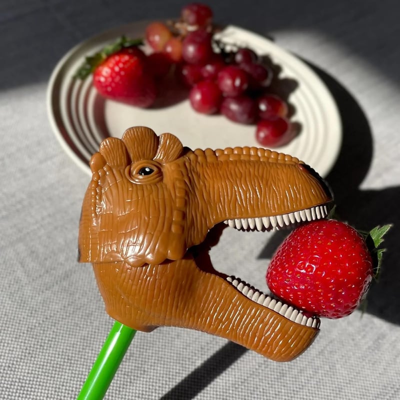 Brown T-Rex Snapper Dinosaur Grabber Toy for Kids 3+