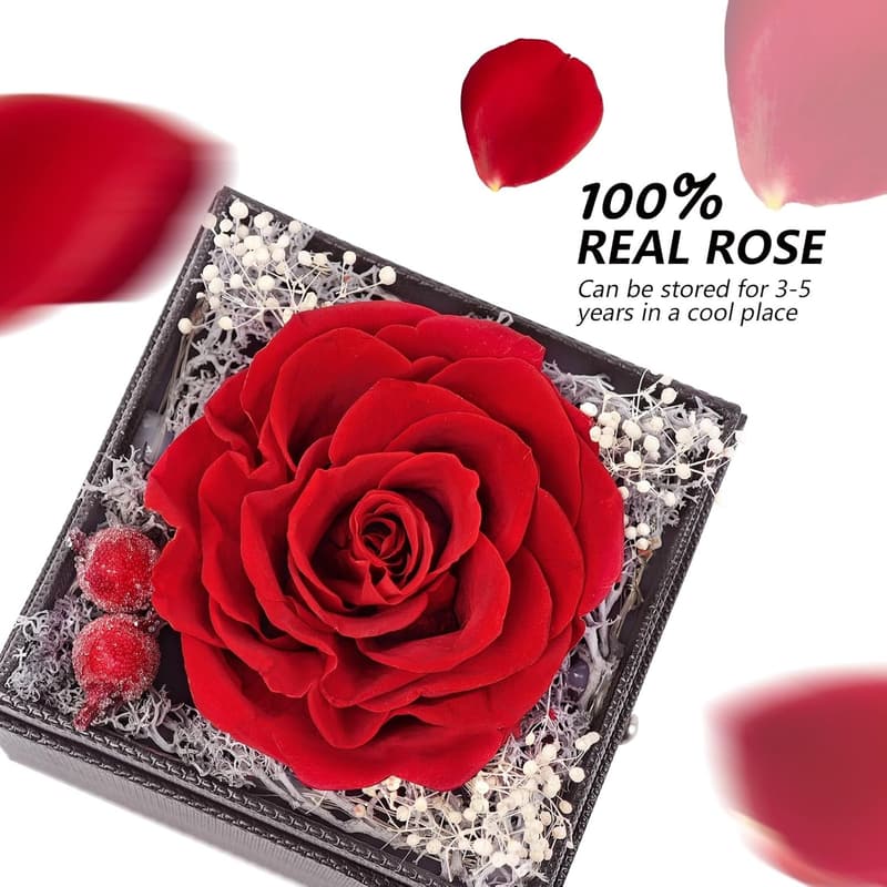 Eternal Rose Heart Necklace - Romantic Gift for Women