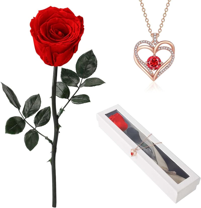 Eternal Red Rose Necklace Gift for Her - Birthday & Anniversary