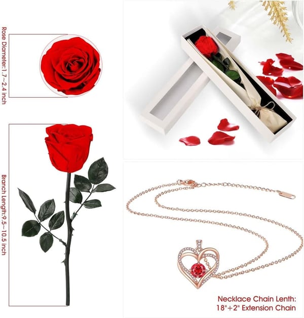 Eternal Red Rose Necklace Gift for Her - Birthday & Anniversary