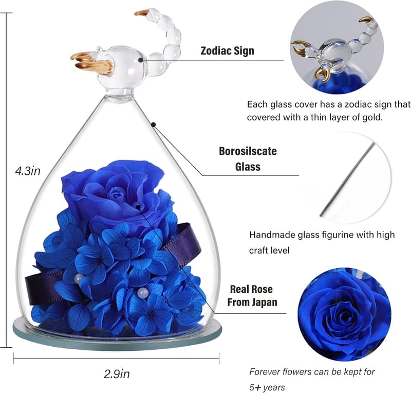 Eternal Rose Gift for Women - Scorpio Constellation Design