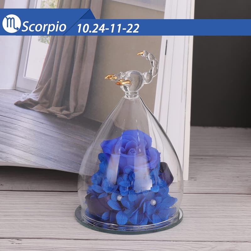 Eternal Rose Gift for Women - Scorpio Constellation Design