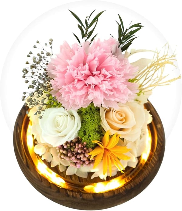 Preserved Rose in Glass Dome with Light - Long Lasting Flower Gift for Women