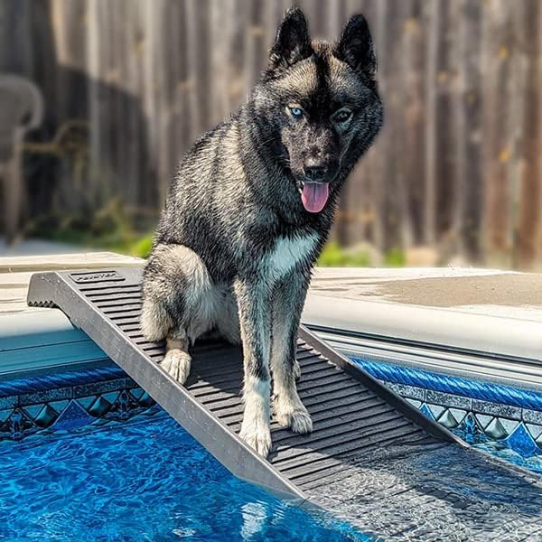 Dog Pool Ramp - Graphite/Gray - For Above & In-Ground Pools