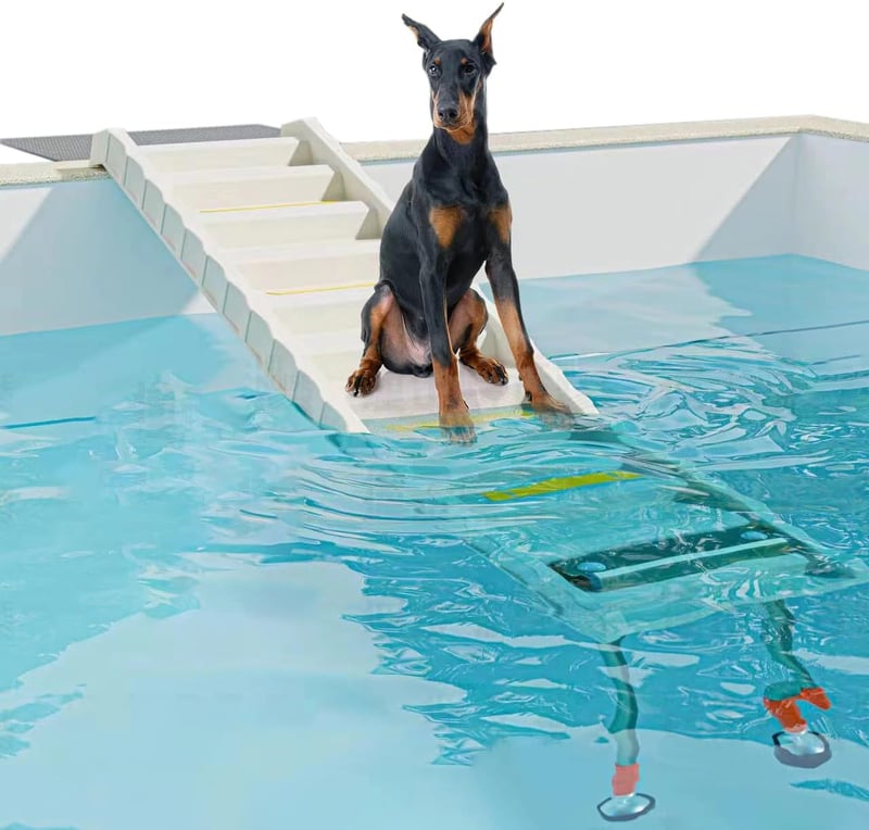 Foldable Dog Pool Ramp for Easy Access, Adjustable Height