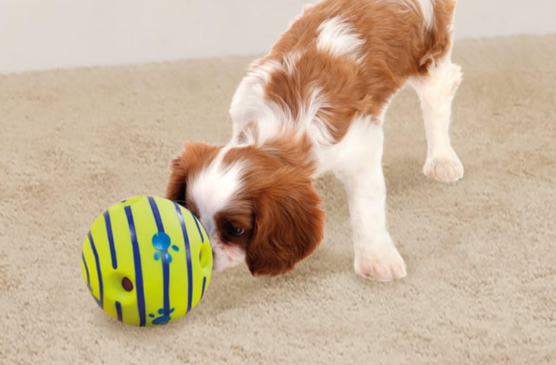 Dog Enrichment Wobble Wag Giggle Ball | Interactive Play Toy