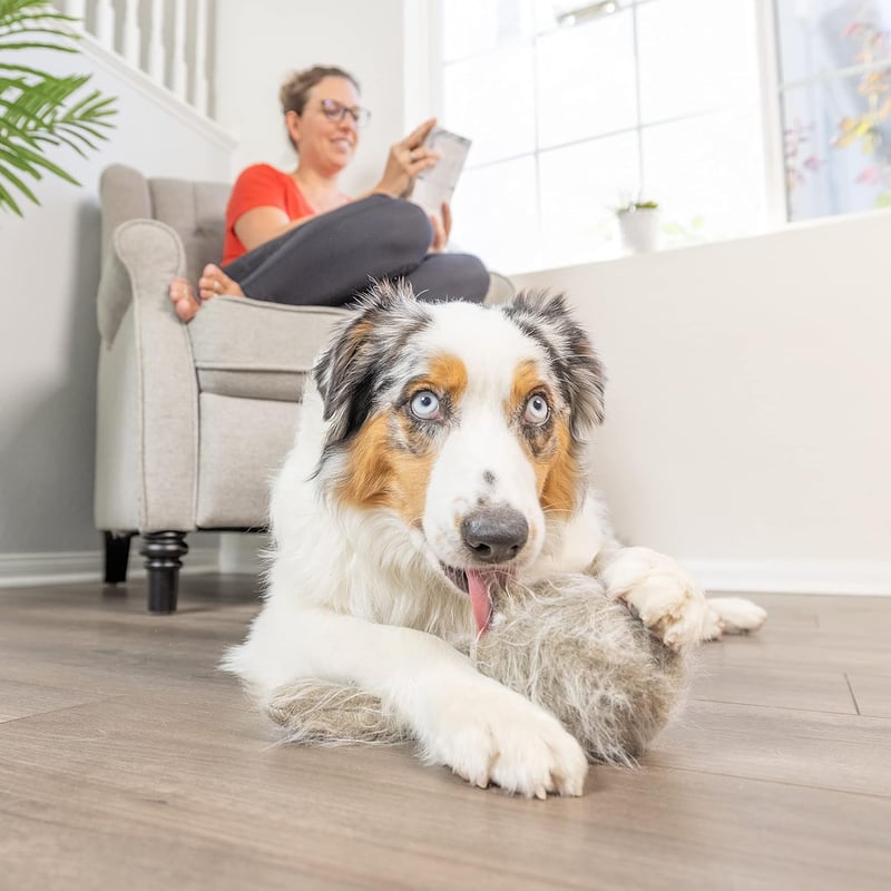 Interactive Plush Dog Toy for Stimulating Play - Wiggles & Barks