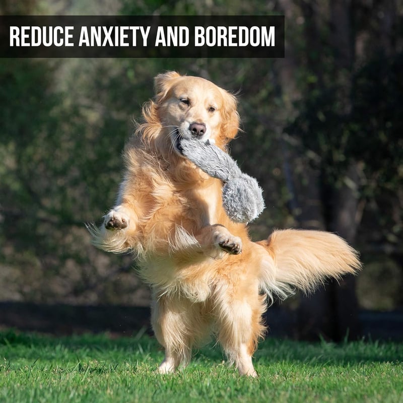 Interactive Plush Dog Toy for Stimulating Play - Wiggles & Barks