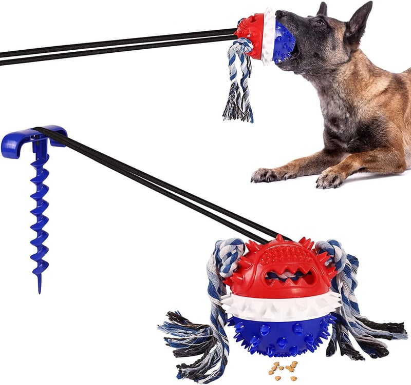 Interactive Tug-of-War Dog Chew Toy with Squeaky Ball and Stake