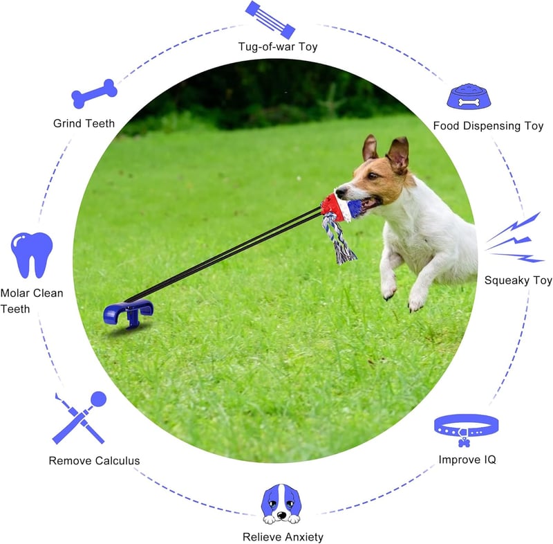 Interactive Tug-of-War Dog Chew Toy with Squeaky Ball and Stake