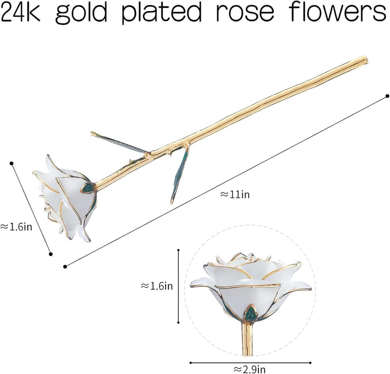 Gold-Dipped Real Rose with Stand for Wife - Lasting Gift