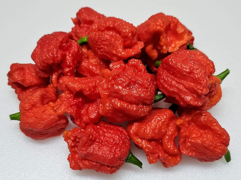 Dried Peppers - Dragons Breath Variety