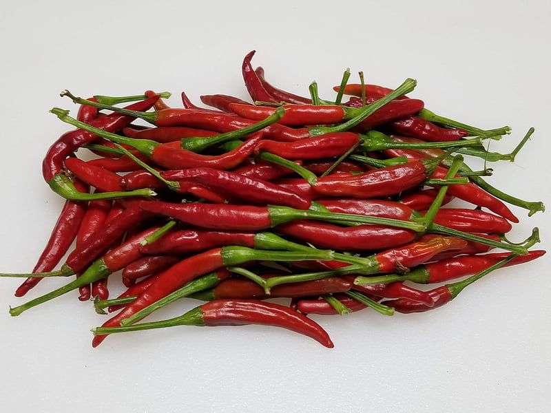 Thai Dragon Pepper Seeds - 10+ Count