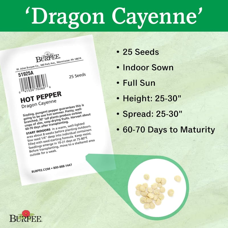 Dragon Cayenne Hot Pepper Seeds - 25 Pack
