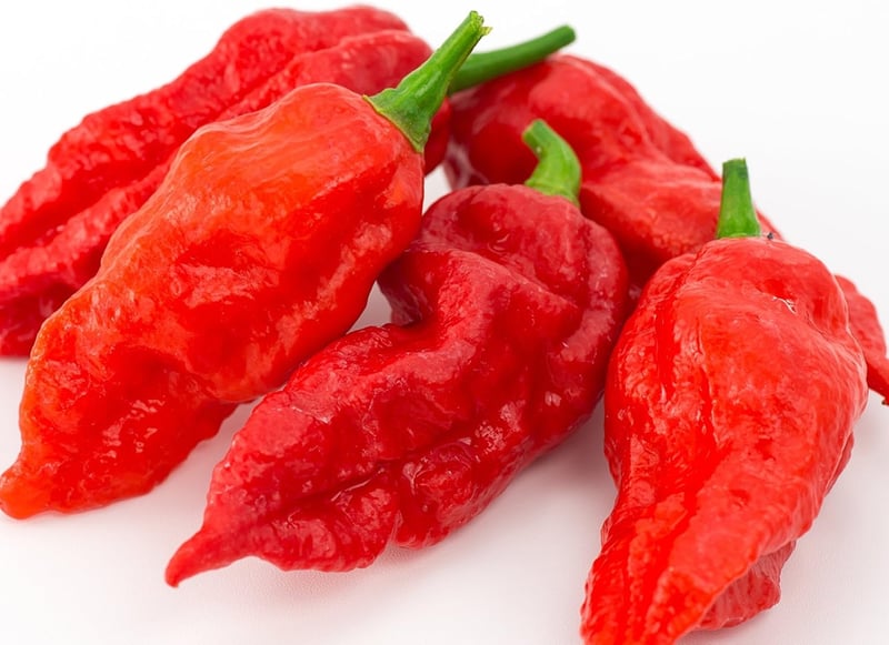 Ghost Pepper Seeds - 25+ Bhut Jolokia by Ohio Heirloom Seeds