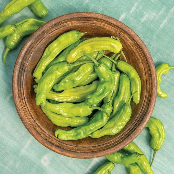 Hot Pepper Seeds - Burpee Dragon Roll (25 Seeds)