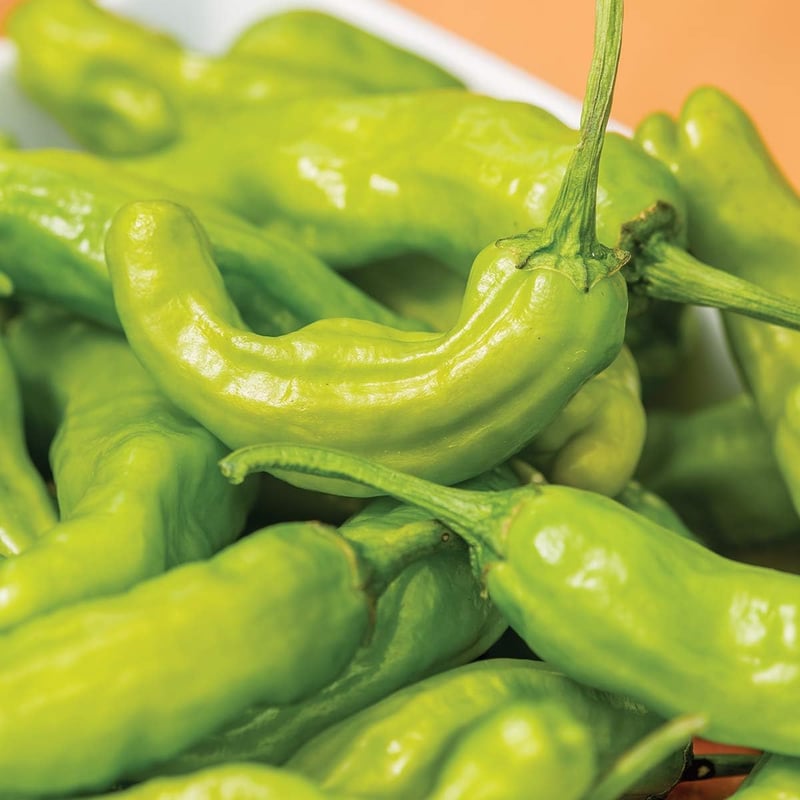 Hot Pepper Seeds - Burpee Dragon Roll (25 Seeds)