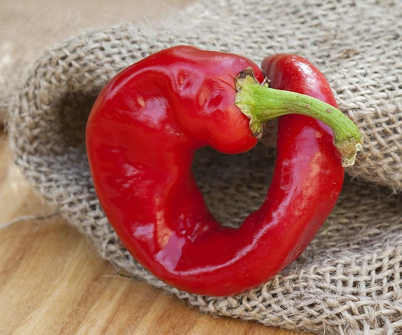 Premium Dragons Claw Heirloom Pepper Seeds for Planting