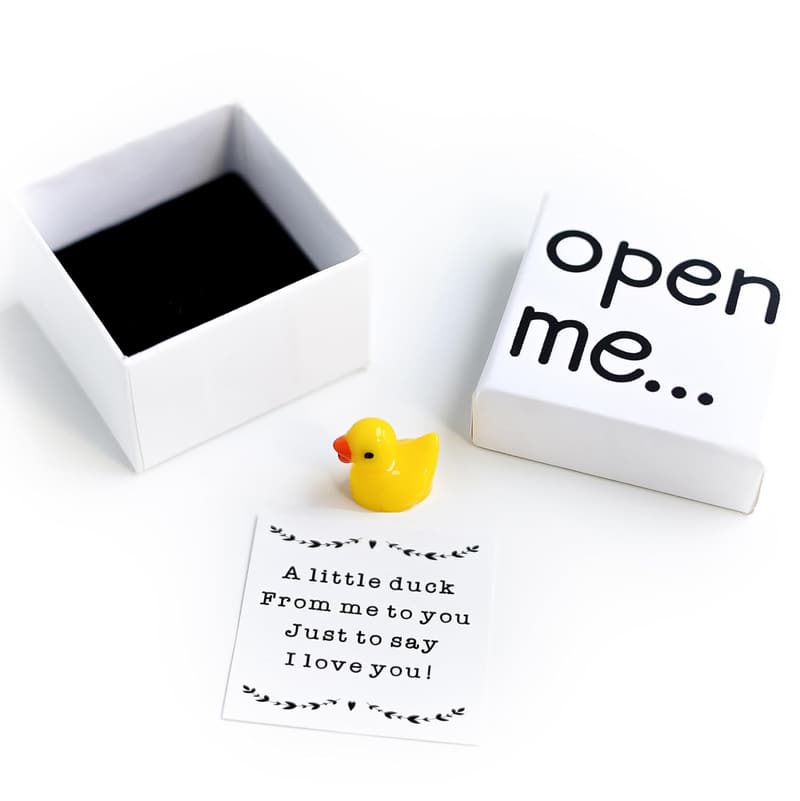 Valentine's Day Duck Gift for Couples