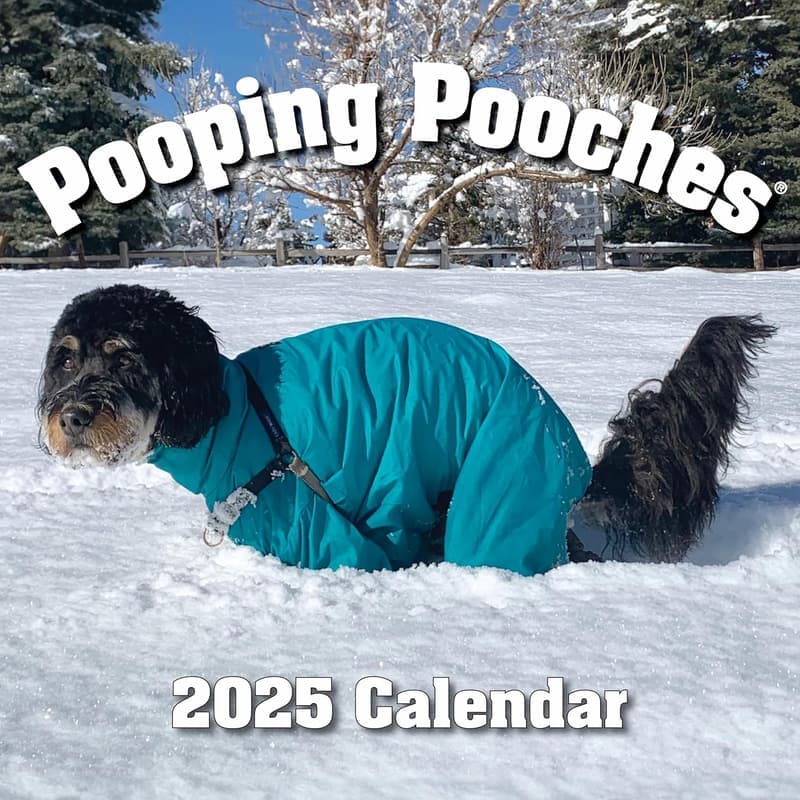 White Elephant Gag Gift Wall Calendar