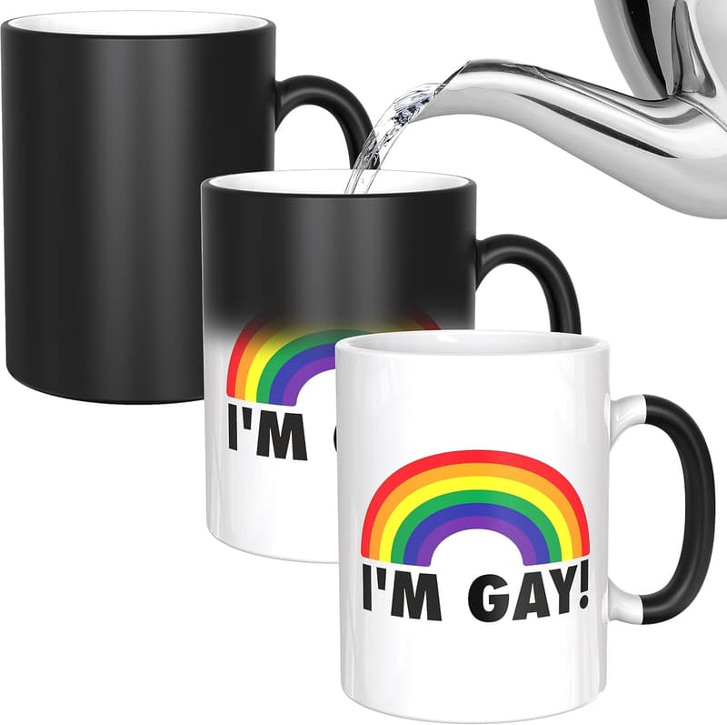 Rainbow Heat Change Mug - Funny Novelty Gift for Pride