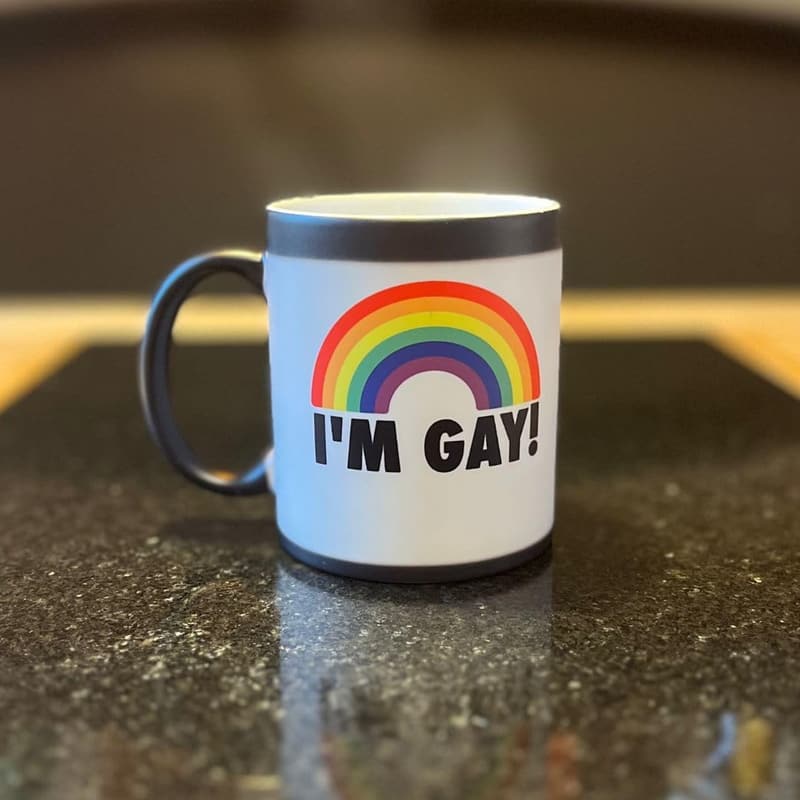 Rainbow Heat Change Mug - Funny Novelty Gift for Pride